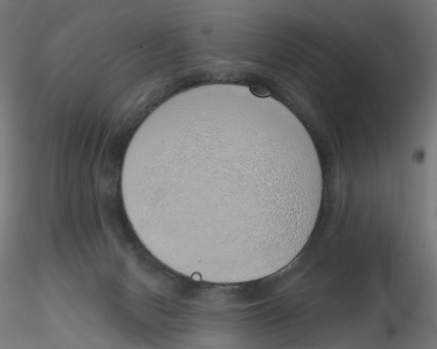 X0000116110078200912211641