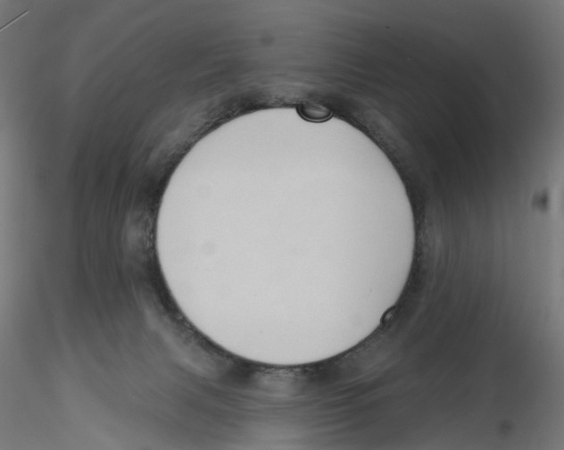 X0000116110079200912211641