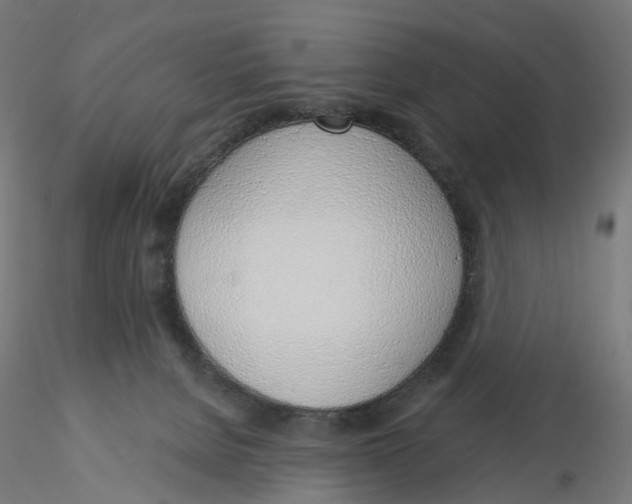 X0000116110080200912211641