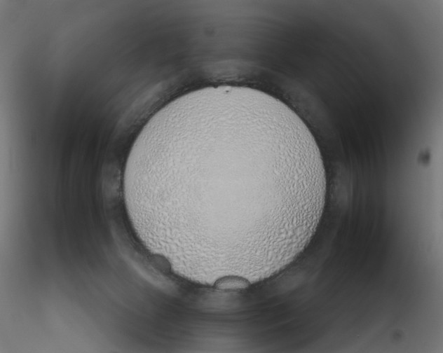 X0000116110081200912211641