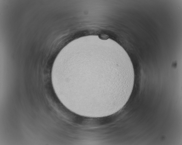 X0000116110082200912211641