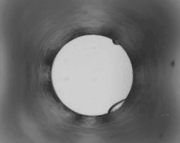 X0000116110083200912211641