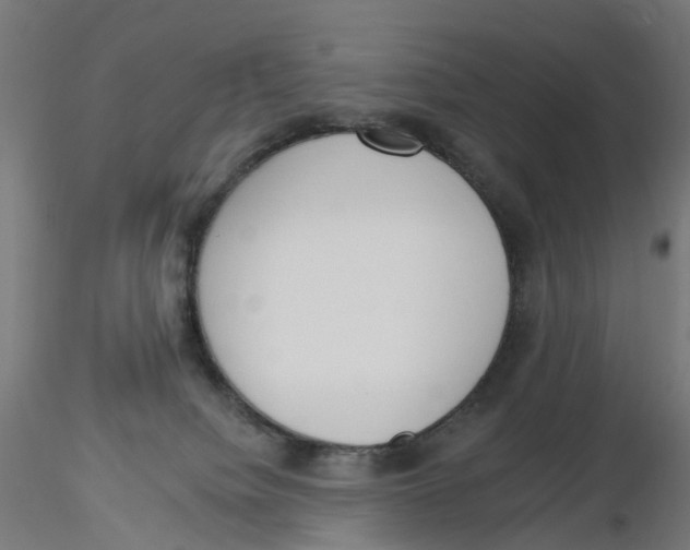 X0000116110084200912211641