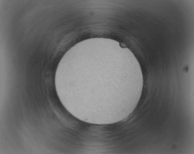 X0000116110086200912211641