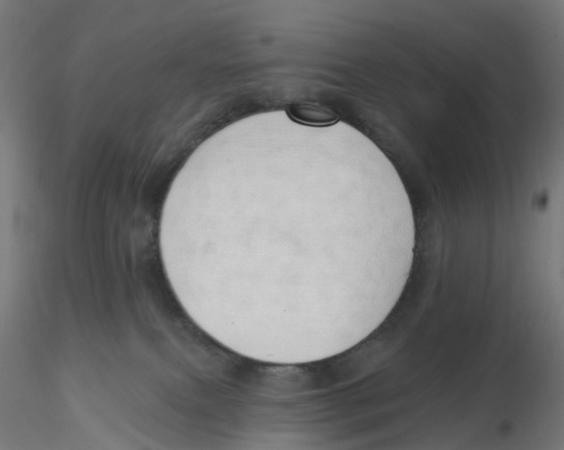 X0000116110087200912211641