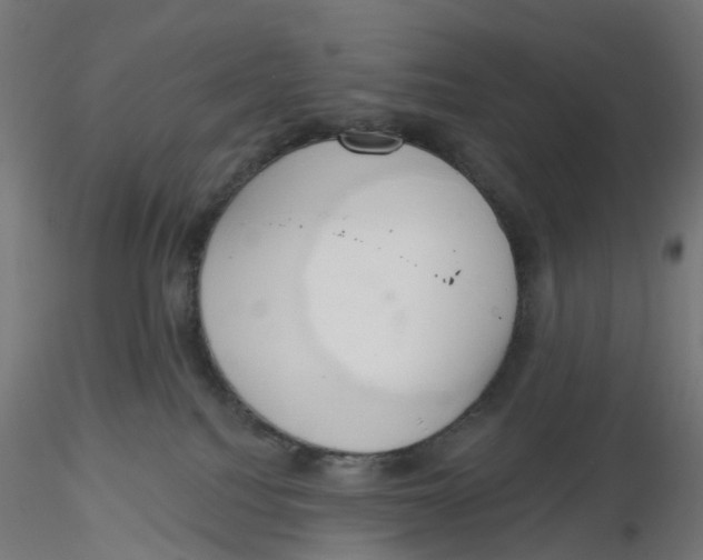 X0000116110088200912211641