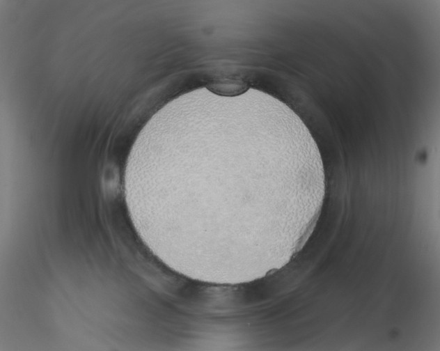 X0000116110089200912211641
