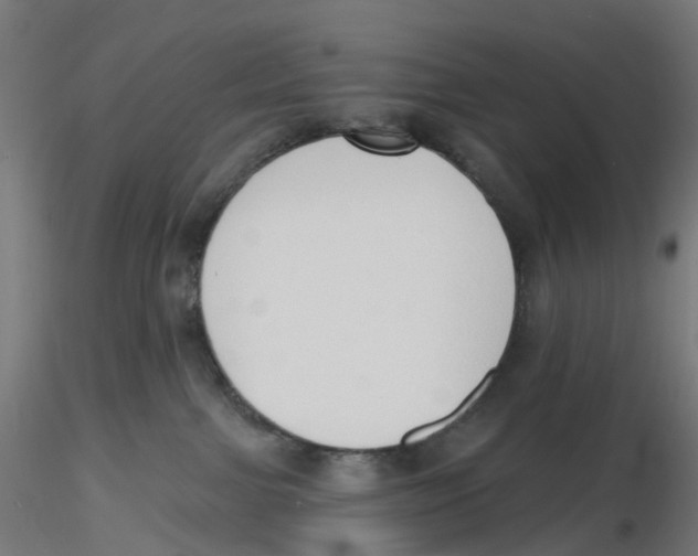 X0000116110091200912211641