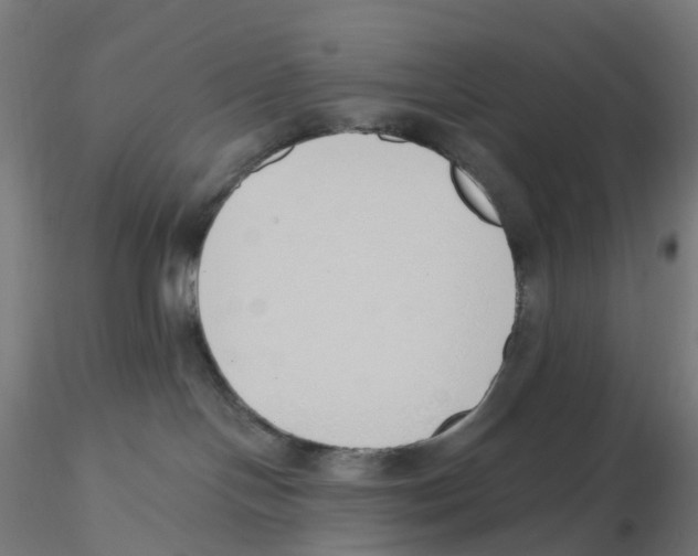 X0000116110094200912211642