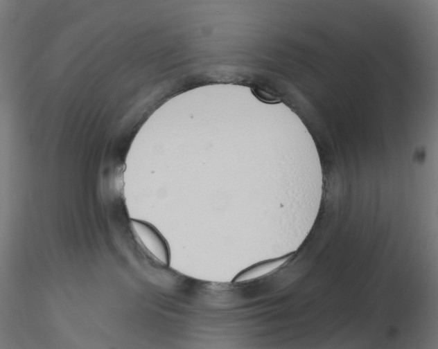 X0000116110095200912211642