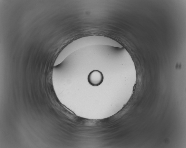 X0000116110096200912211642