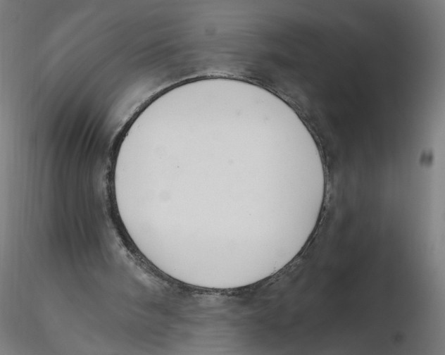 X0000116110098200912211641
