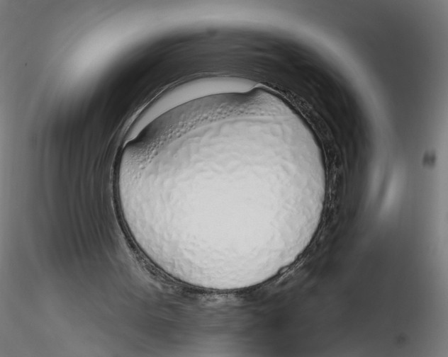 X0000116110099200912211641