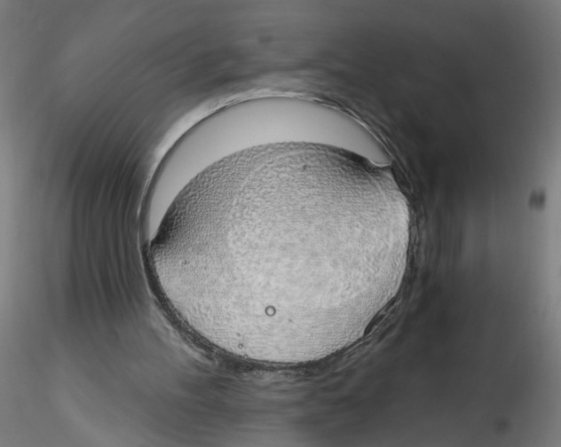 X0000116110100200912211641
