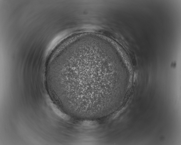 X0000116110101200912211641