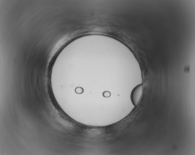 X0000116110102200912211641