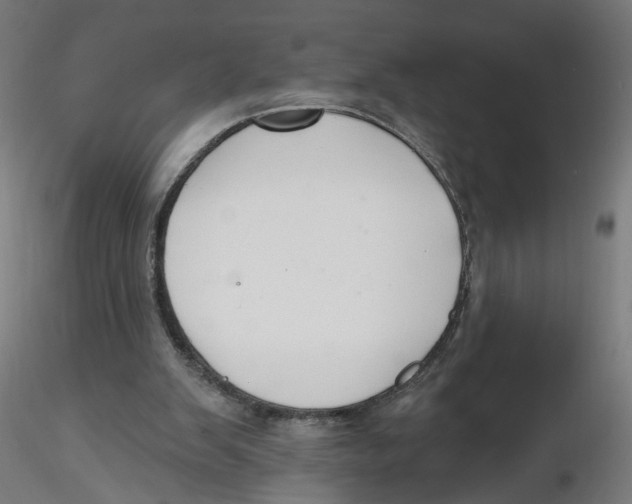 X0000116110103200912211641