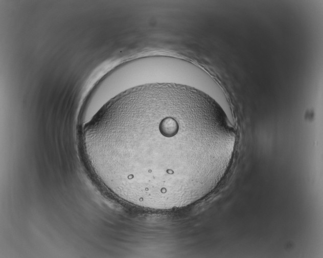 X0000116110104200912211641