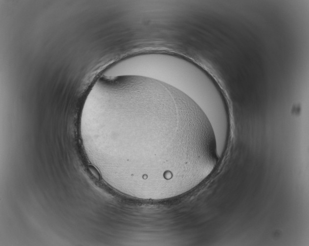 X0000116110105200912211641