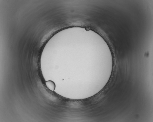 X0000116110106200912211641
