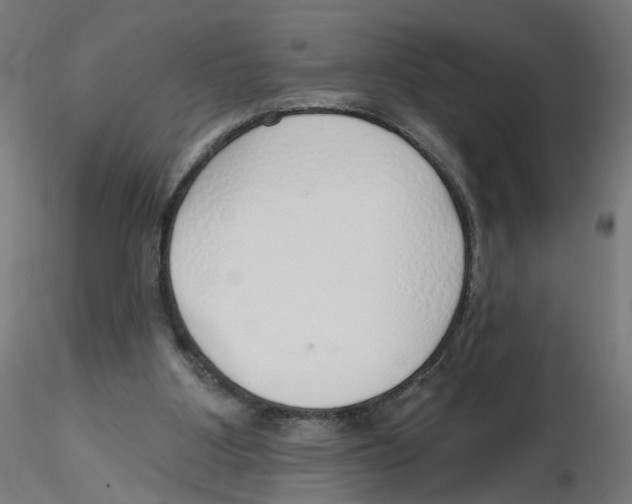 X0000116110107200912211641