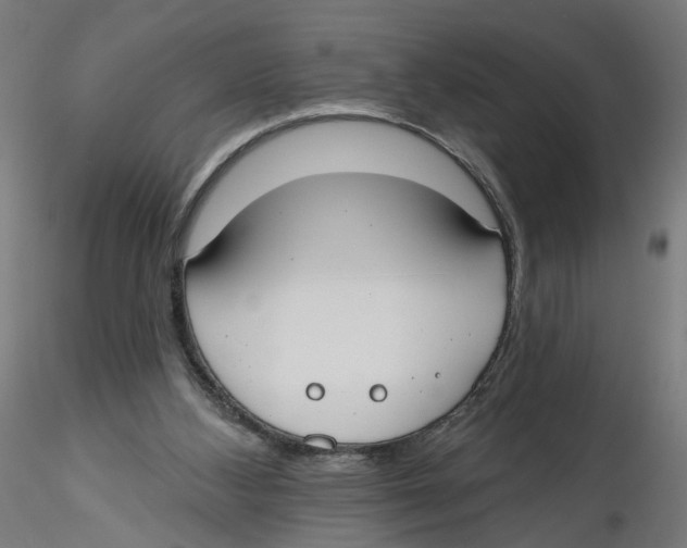 X0000116110108200912211641