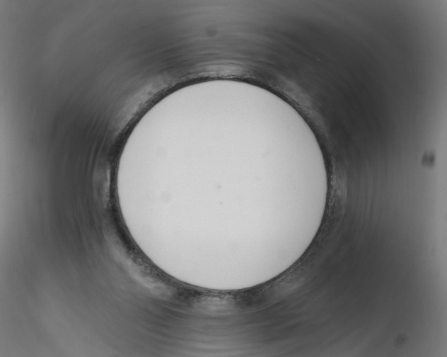X0000116110110200912211641