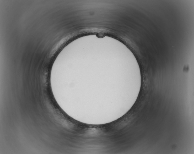 X0000116110111200912211641