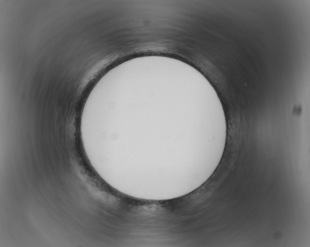 X0000116110112200912211641