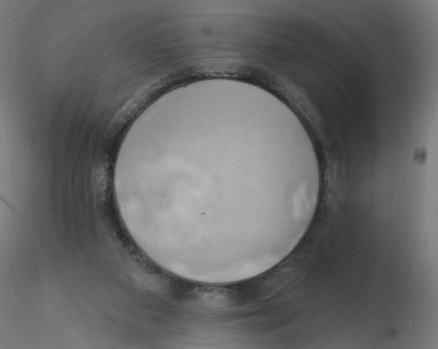 X0000116110113200912211641
