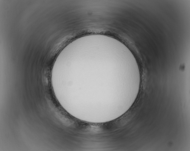 X0000116110114200912211641