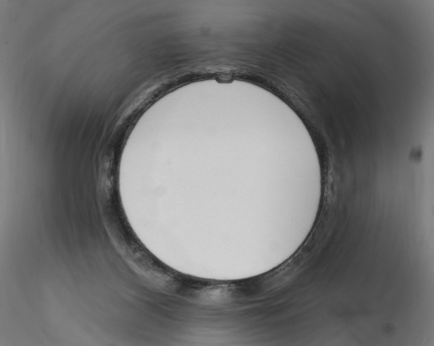 X0000116110116200912211641