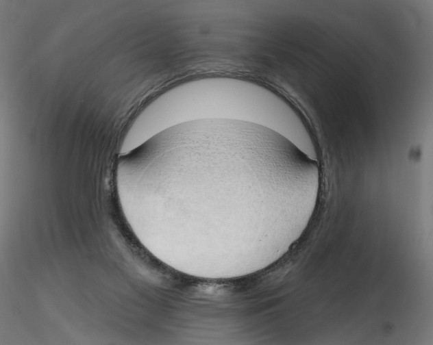 X0000116110117200912211641