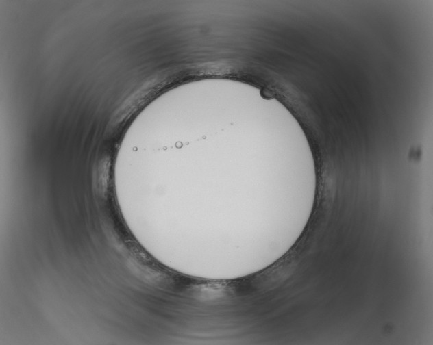 X0000116110118200912211641