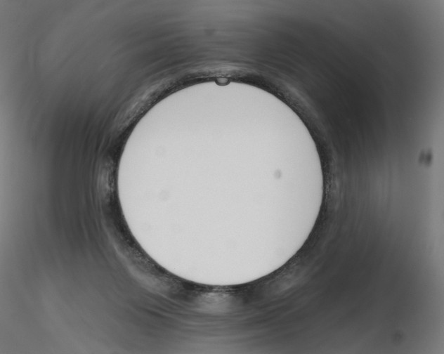 X0000116110119200912211641