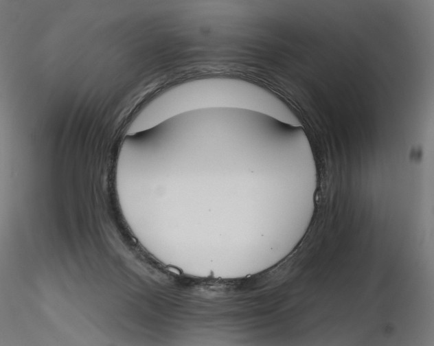 X0000116110120200912211641
