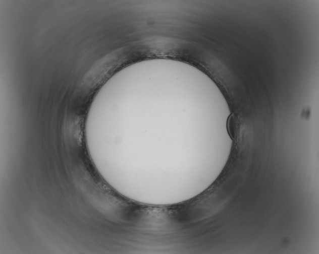 X0000116110121200912211641