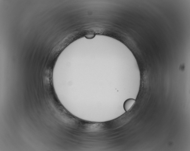 X0000116110122200912211641
