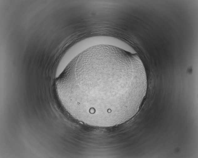 X0000116110124200912211641