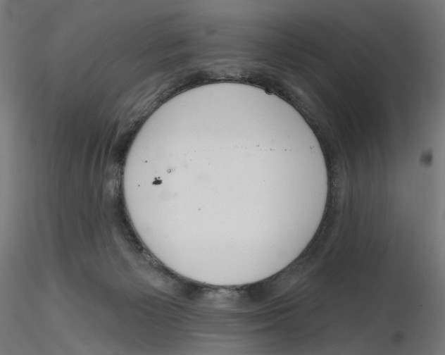 X0000116110125200912211641