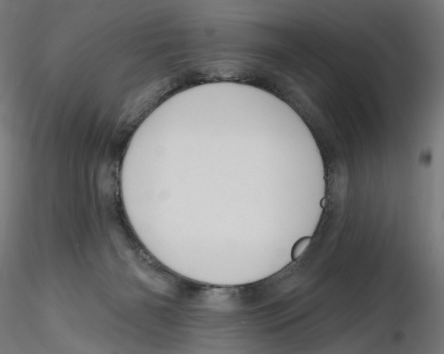 X0000116110126200912211641