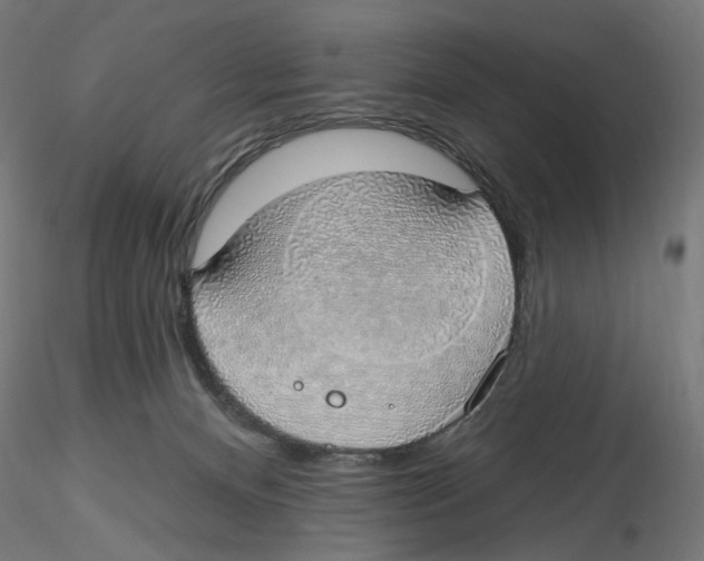 X0000116110128200912211640