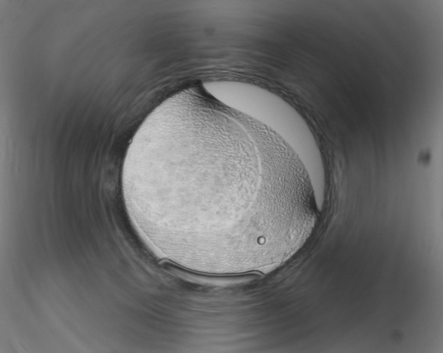 X0000116110129200912211640