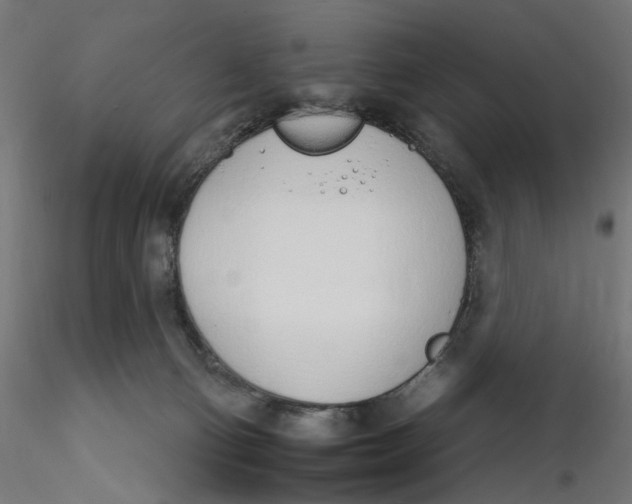 X0000116110130200912211640