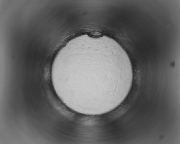 X0000116110131200912211640