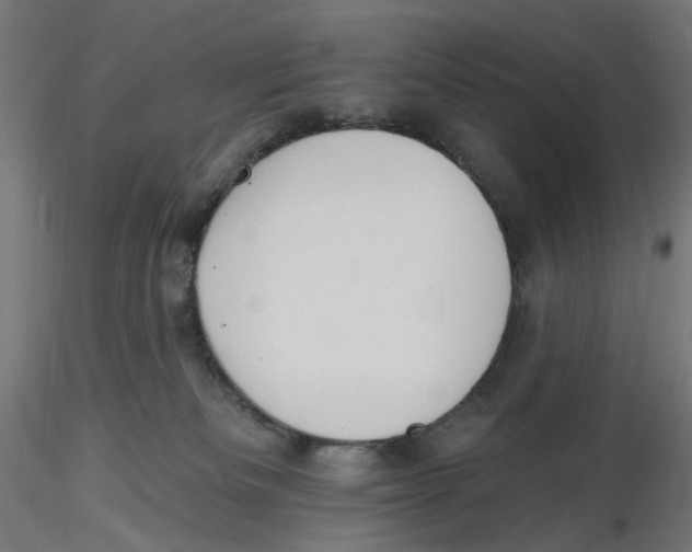 X0000116110133200912211640