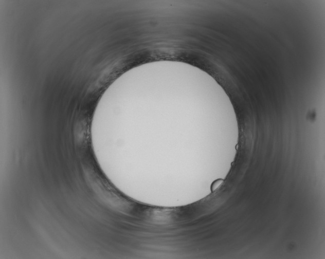 X0000116110134200912211640