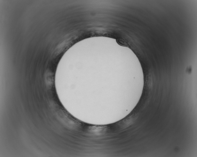 X0000116110135200912211640