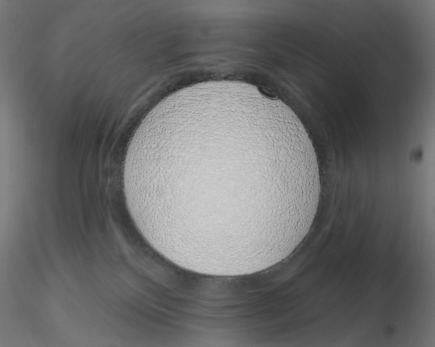 X0000116110136200912211640