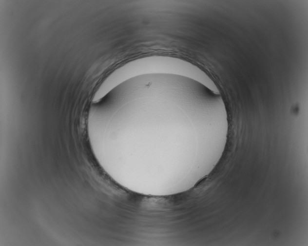 X0000116110137200912211640